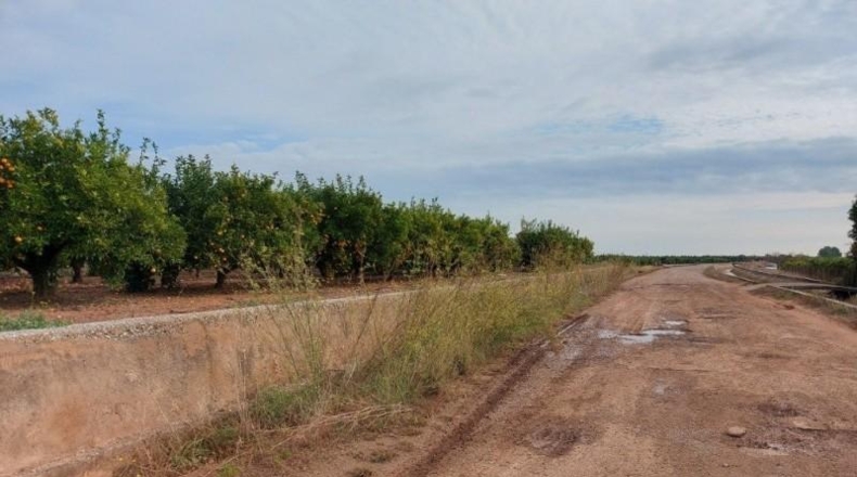 Castellón - Vila-real - 9595m2
