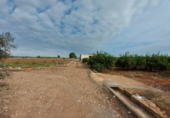 Terreny no urbanitzable en venda a la España, Vila-real, ref.: TR119961 foto