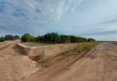 Terreny no urbanitzable en venda a la España, Vila-real, ref.: TR119961 foto