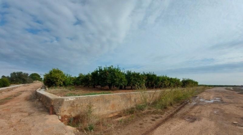 Castellón - Vila-real - 9595m2