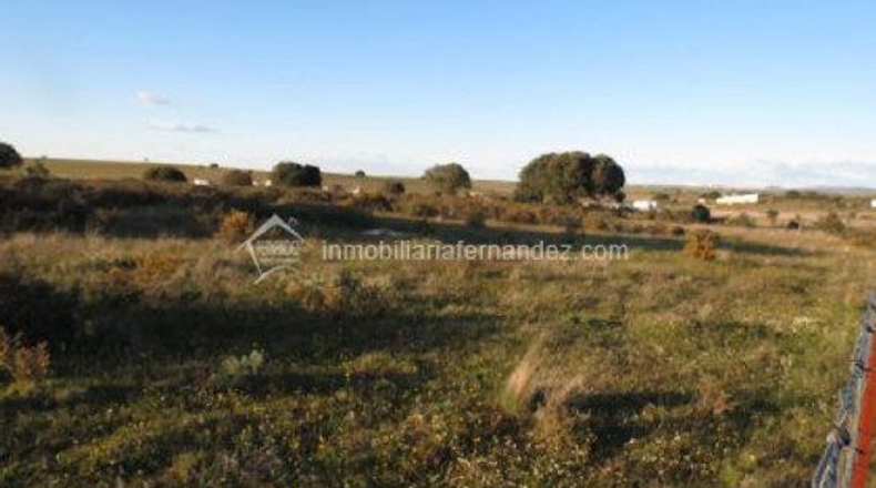 Касерес - Cáceres - 5000m2
