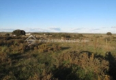 Casa de campo con terreno en venta en la España, Cáceres, ref: TR314605 foto