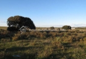 Casa de campo con terreno en venta en la España, Cáceres, ref: TR314605 foto