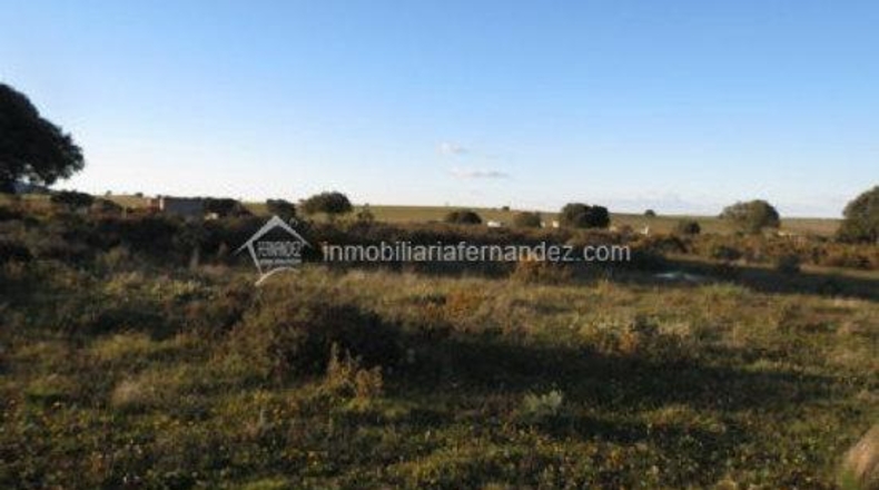 Касерес - Cáceres - 5000m2