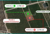 Terreny no urbanitzable en venda a la España, Santomera, ref.: TR115898 foto