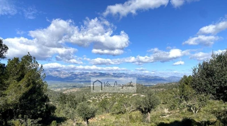 Tarragona - Tortosa - 21604m2