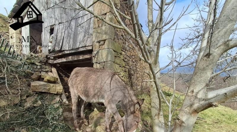 Cantabria - San Pedro del Romeral - 6756m2