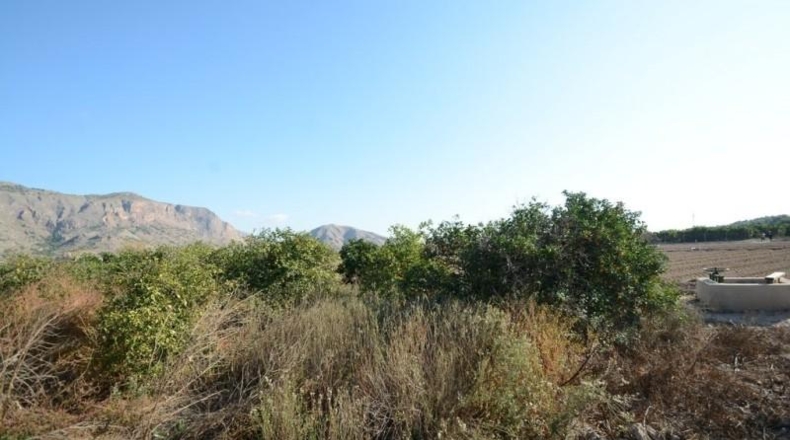 Аликанте - Orihuela - 5600m2