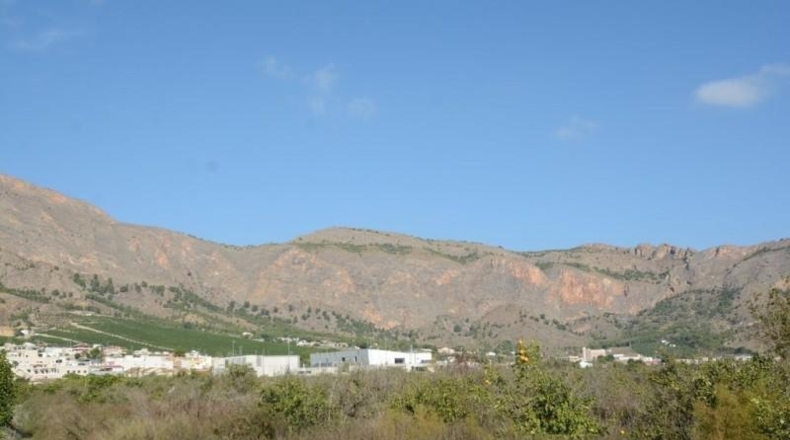 Аликанте - Orihuela - 5600m2