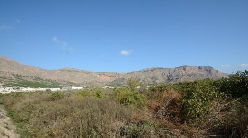 Аликанте - Orihuela - 5600m2