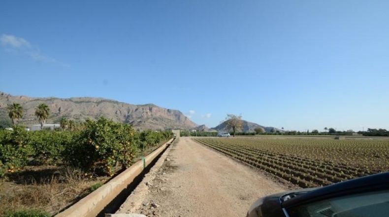 Аликанте - Orihuela - 5600m2