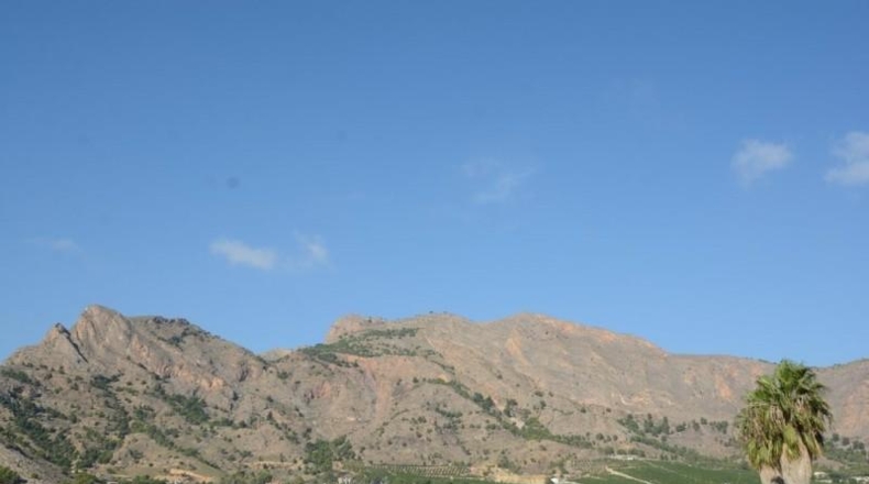 Аликанте - Orihuela - 5600m2