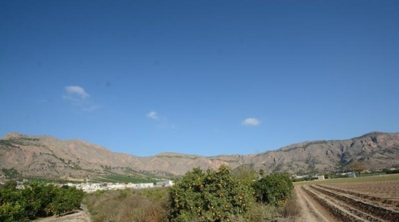 Аликанте - Orihuela - 5600m2