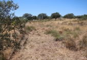 Suelo urbano en venta en la España, Badajoz, ref: TR310699 foto