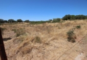 Suelo urbano en venta en la España, Badajoz, ref: TR310699 foto