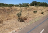 Suelo urbano en venta en la España, Badajoz, ref: TR310699 foto