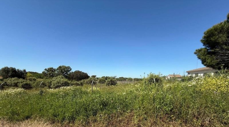 Badajoz - Badajoz - 5000m2