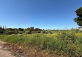 Terreny no urbanitzable en venda a la España, Badajoz, ref.: TR334496 foto