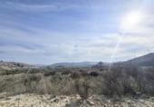 Non-developable land for sale on España, Aspe, ref: TR377272 photo