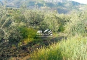Terreny no urbanitzable en venda a la España, Priego de Córdoba, ref.: TR120856 foto