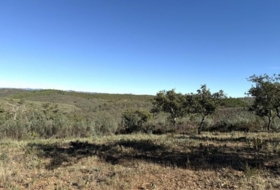 Berrocal 43455&nbsp;м²