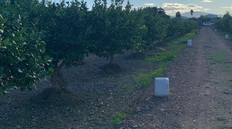 Murcia - Murcia - 3000m2