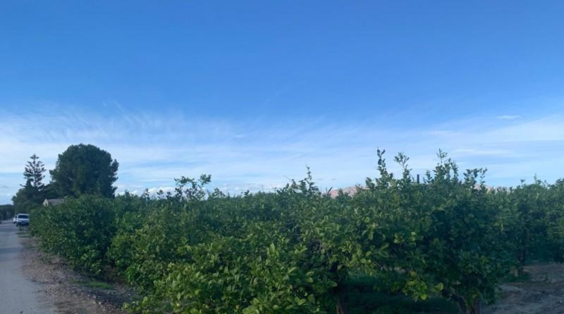 Murcia - Murcia - 3000m2