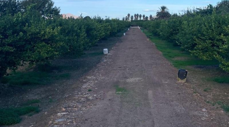 Murcia - Murcia - 3000m2