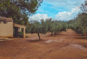 Godall 67000&nbsp;m²