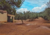 Chalet independiente con terreno en venta en la España, Godall, ref: TR360436 foto