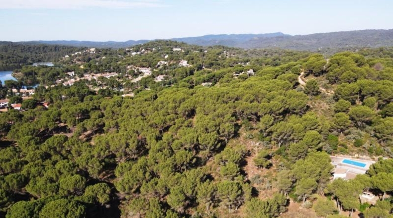 Córdoba - Córdoba - 3000m2