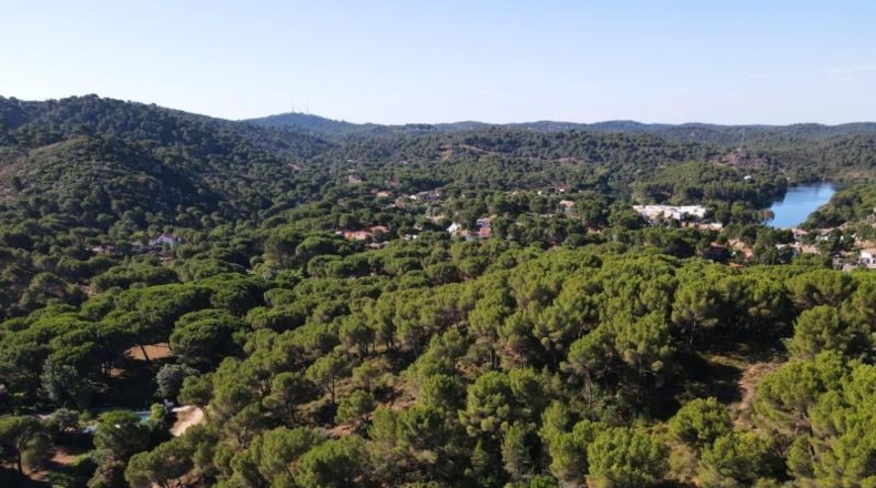 Córdoba - Córdoba - 3000m2