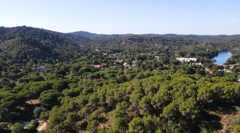 Córdoba - Córdoba - 3000m2