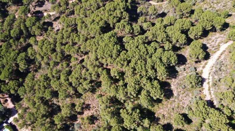 Córdoba - Córdoba - 3000m2