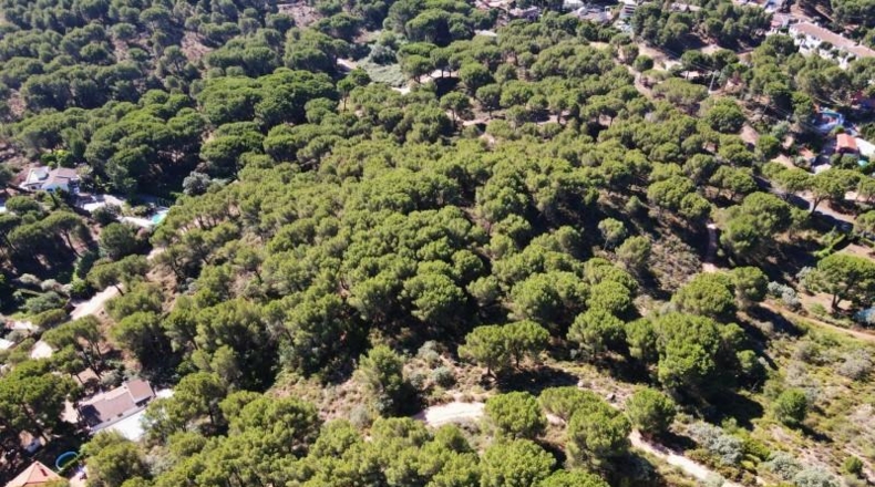 Córdoba - Córdoba - 3000m2
