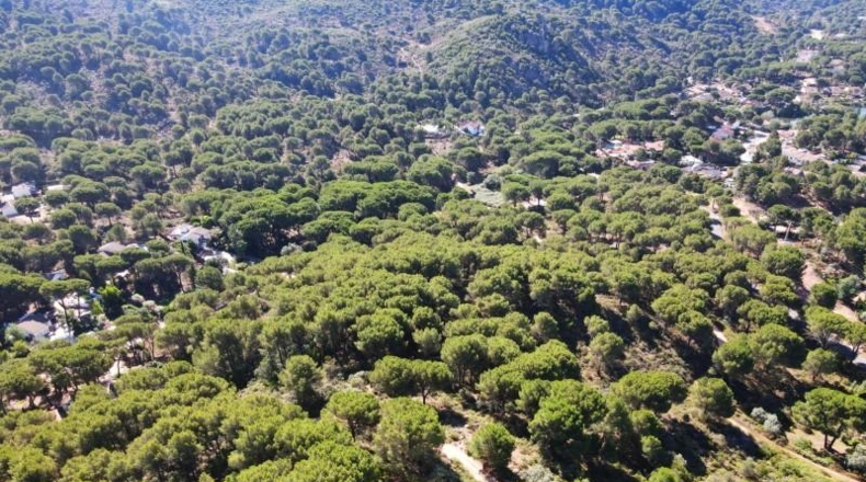 Córdoba - Córdoba - 3000m2