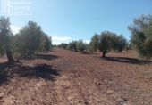 Земля на продажу у города Argamasilla de Alba Фото