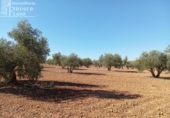 Земля на продажу у города Argamasilla de Alba Фото