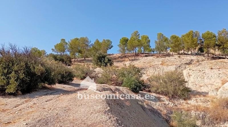 Jaén - La Guardia de Jaén - 600m2