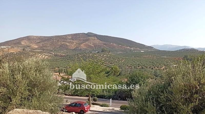 Jaén - La Guardia de Jaén - 600m2
