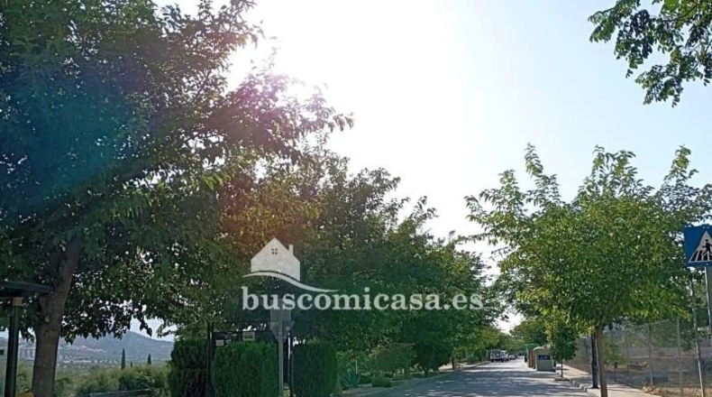 Jaén - La Guardia de Jaén - 600m2