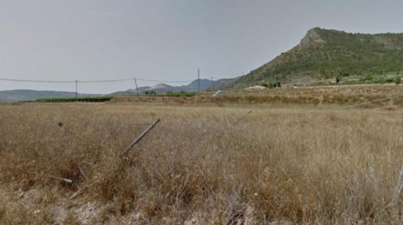 Alicante - Aspe - 11804m2