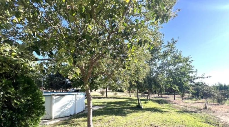 Badajoz - San Pedro de Mérida - 4473m2