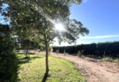 House with land for sale on España, Guareña, ref: TR329053 photo