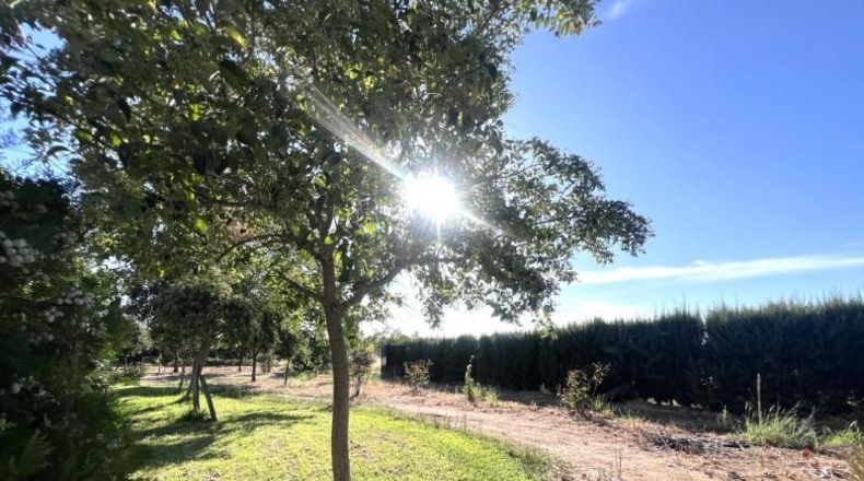 Badajoz - San Pedro de Mérida - 4473m2