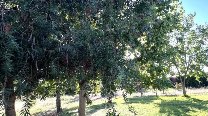 Badajoz - San Pedro de Mérida - 4473m2