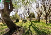 Городская земля под застройку на продажу у города Villa de Otura Фото