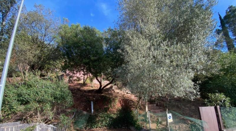 Barcelona - Corbera de Llobregat - 520m2