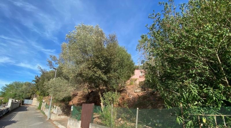 Barcelona - Corbera de Llobregat - 520m2