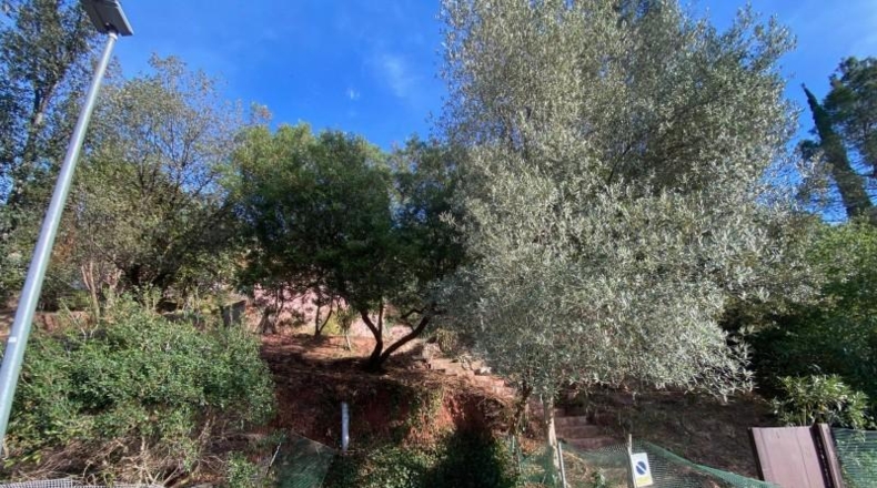 Barcelona - Corbera de Llobregat - 520m2